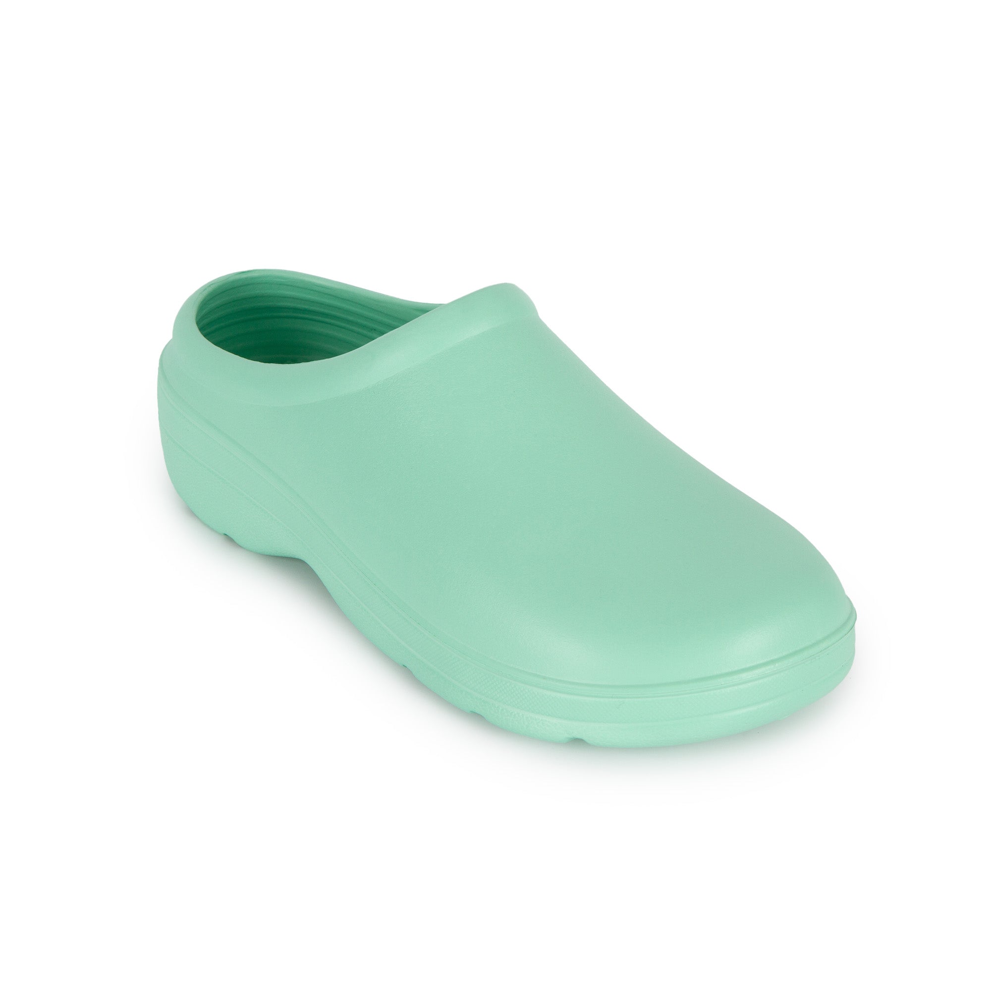 EC01MINT.jpg