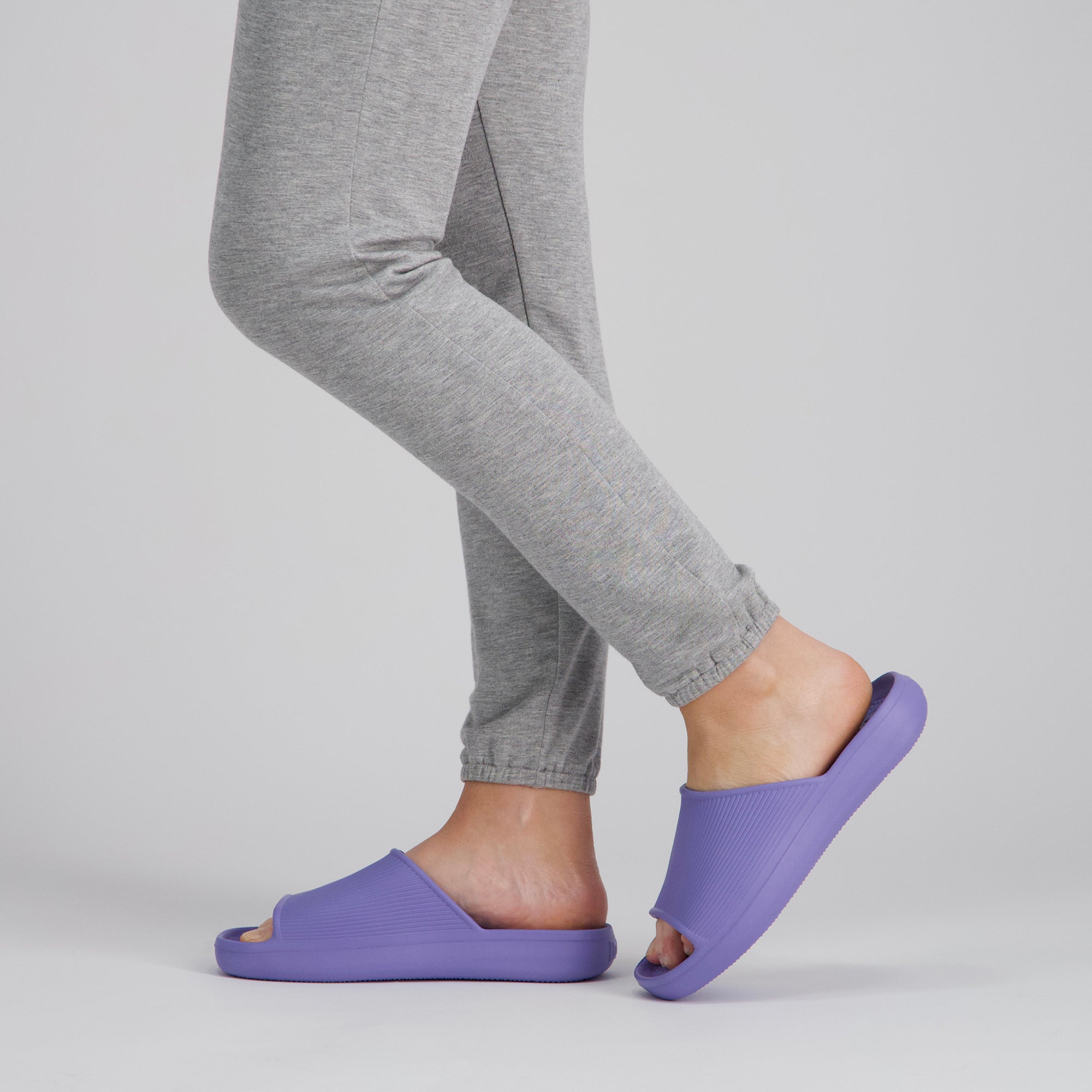 TS35_Perwinkle.jpg